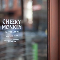 Cheeky Monkey
